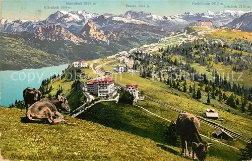 AK / Ansichtskarte Rigi_Staffel und Rigi Kulm Berghotels Almvieh Kuehe Alpenpanorama Rigi_Staffel