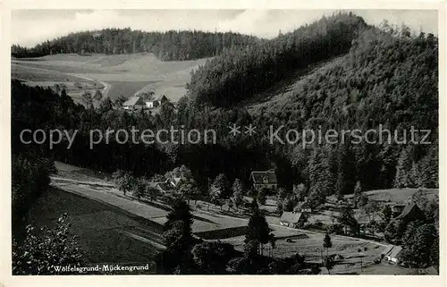 AK / Ansichtskarte Woelfelsgrund Mueckengrund Woelfelsgrund