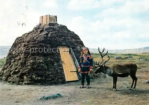 AK / Ansichtskarte Rentier Sameleir Hardangervidda Norway  Rentier