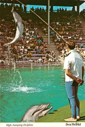 AK / Ansichtskarte Delphine High Jumping Dolphin Sea World San Diego California Delphine