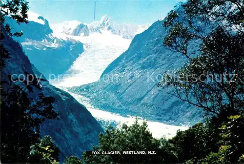 AK / Ansichtskarte Gletscher Fox Glacier Westland New Zealand  Gletscher