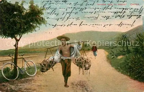 AK / Ansichtskarte China Taxings Pigs to Market China