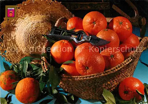 AK / Ansichtskarte Obst Orangen Naranjas Valencia  Obst