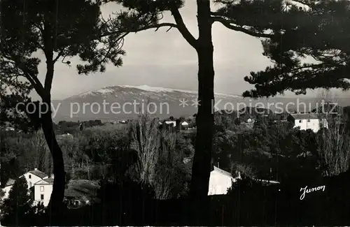 AK / Ansichtskarte Carpentras Vue sur le Mont Ventoux Carpentras