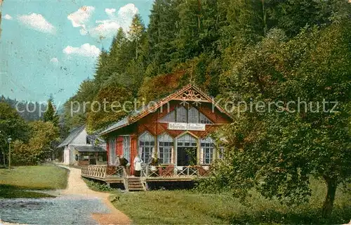 AK / Ansichtskarte Bad_Altheide Restaurant Eisenhammer Bad_Altheide