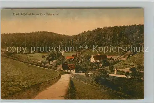 AK / Ansichtskarte Bad_Altheide  Bad_Altheide