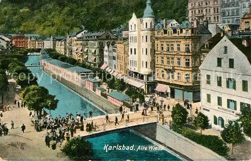 AK / Ansichtskarte Karlsbad_Eger Alte Wiese  Karlsbad_Eger