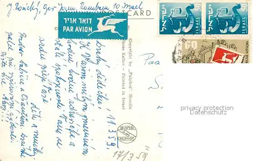 AK / Ansichtskarte Nazareth_Israel Beduin with Camel Nazareth Israel