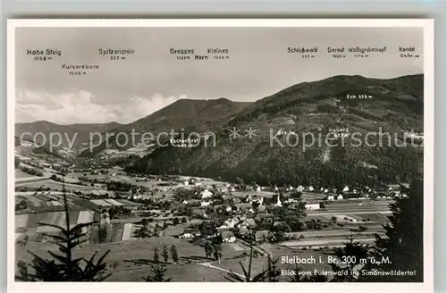 AK / Ansichtskarte Bleibach Schlosswald Spitzenstein Hohe Steig Bleibach