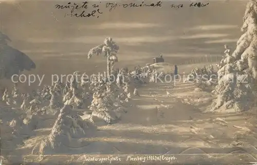 AK / Ansichtskarte Plessberg_Plesivec  