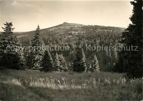 AK / Ansichtskarte Jeseniky Petrovy kameny Jeseniky