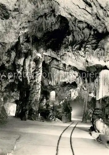AK / Ansichtskarte Postojnska Jama Postojnska