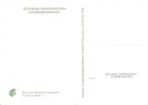 AK / Ansichtskarte Sangerhausen_Suedharz Rosarium Kletterrosenpyramiden Sangerhausen Suedharz