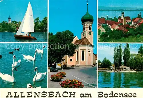 AK / Ansichtskarte Allensbach_Bodensee Segelboot Schwaene Kirche Badestrand Ortsmotiv mit Kirche Allensbach_Bodensee