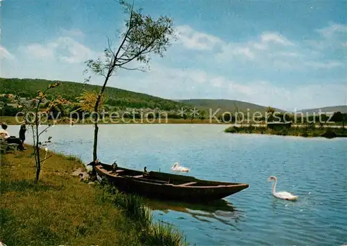 AK / Ansichtskarte Bad_Koenig_Odenwald Uferpartie am See Ruderboot Schwaene Bad_Koenig_Odenwald