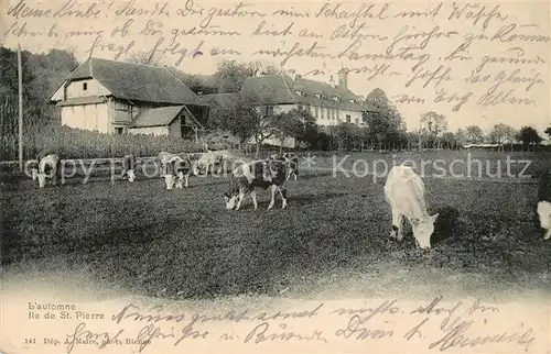 AK / Ansichtskarte Taeuffelen Automne Ile de St Pierre Taeuffelen