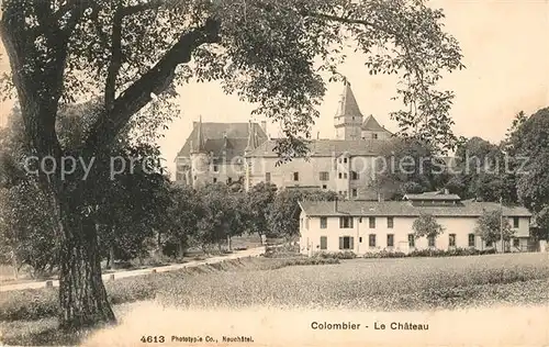 AK / Ansichtskarte Colombier_Allier Le Chateau Colombier Allier
