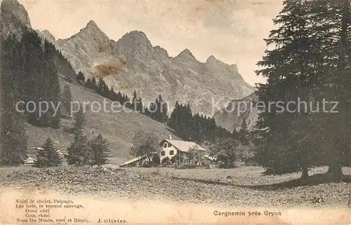 AK / Ansichtskarte Gryon Cergnemin Gryon