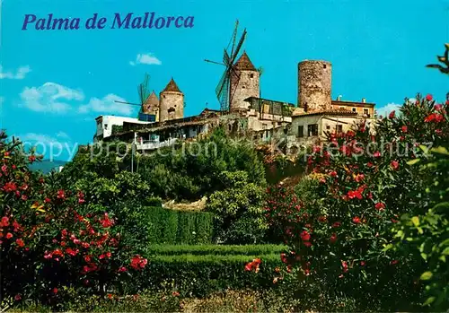 AK / Ansichtskarte Palma_de_Mallorca Molinos de el Jonquet Palma_de_Mallorca