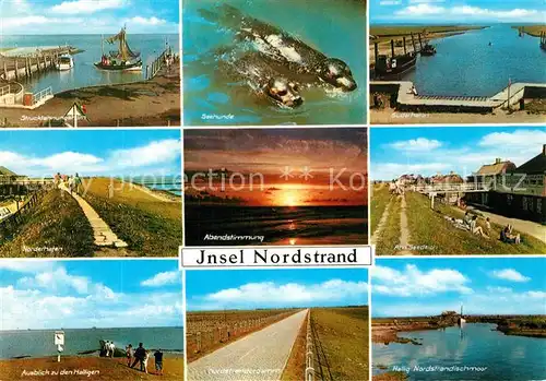 AK / Ansichtskarte Nordstrand Hafen Hallig Seehunde Abendstimmung Damm Seedeich Nordstrand