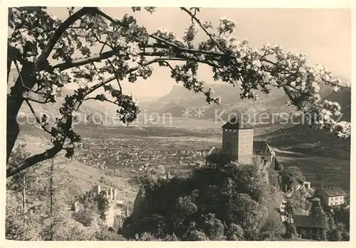 AK / Ansichtskarte Merano_Suedtirol Castel Tirolo Schloss Tirol Baumbluete Merano Suedtirol
