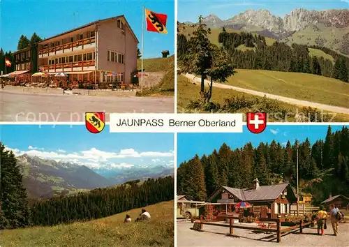 AK / Ansichtskarte Jaunpass Hotel des Alpes Panorama Simmental Gastlosen Freiburger Vorlapen Sportbazar Jaunpass
