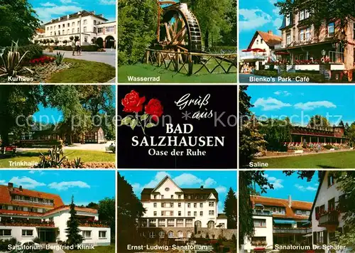 AK / Ansichtskarte Bad_Salzhausen Kurhaus Wasserrad Parkcafe Trinkhalle Saline Sanatorium Rosen Bad_Salzhausen