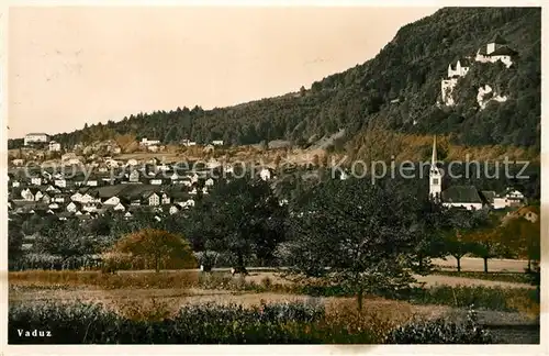 AK / Ansichtskarte Vaduz Panorama mit Schloss Vaduz