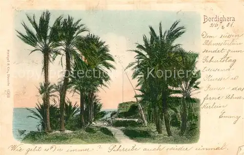 AK / Ansichtskarte Bordighera Palmeninsel Bordighera