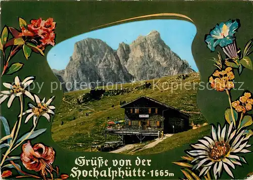 AK / Ansichtskarte Pfronten Hochalphuette mit Aggenstein Allgaeuer Alpen Blumen Pfronten