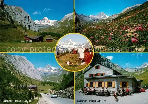AK / Ansichtskarte Kals_Grossglockner Landschaftspanorama Bergwelt Alpenflora Luckner Haus Huette Almvieh Kuehe Hohe Tauern Kals Grossglockner