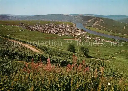 AK / Ansichtskarte Leiwen_Mosel Panorama Leiwen Mosel