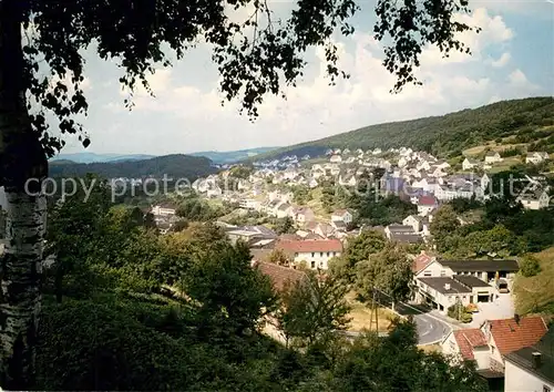 AK / Ansichtskarte Dahle_Altena Panorama Dahle_Altena