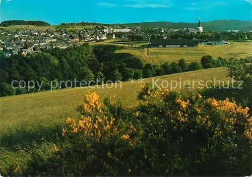 AK / Ansichtskarte Winterberg_Hochsauerland Panorama Winterberg_Hochsauerland