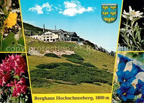 AK / Ansichtskarte Puchberg_Schneeberg Berghaus Hochschneeberg Alpenflora Puchberg Schneeberg