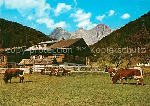 AK / Ansichtskarte Ramsau_Berchtesgaden Bauernhaus Viehweide Kuehe Ramsau Berchtesgaden