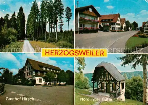 AK / Ansichtskarte Herzogsweiler Waldweg Gasthof Hirsch Noerdlinger Huette Herzogsweiler