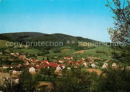 AK / Ansichtskarte Lindenfels_Odenwald Panorama Lindenfels Odenwald