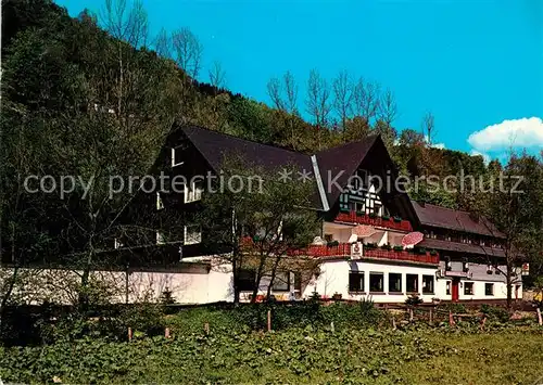 AK / Ansichtskarte Nordenau Hotel Pension Rehblick Nordenau