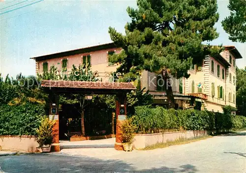 AK / Ansichtskarte Forte_dei_Marmi Albergo Alcione Forte_dei_Marmi