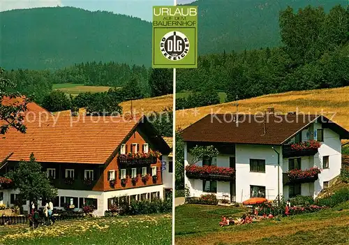 AK / Ansichtskarte Arnbruck Pension Alois Danzer Arnbruck