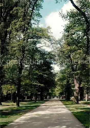 AK / Ansichtskarte Arolsen_Bad Grosse Allee Arolsen_Bad