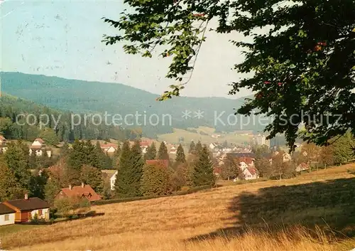 AK / Ansichtskarte Buhlbach_Obertal  Buhlbach Obertal