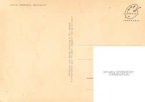 AK / Ansichtskarte Hallig_Langeness Fliegeraufnahme Maienswarft Hallig_Langeness