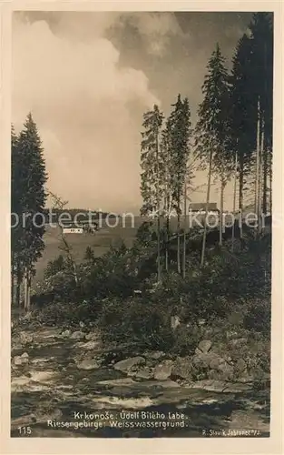 AK / Ansichtskarte Weisswassergrund  Udoli Bileho Labe Weisswassergrund