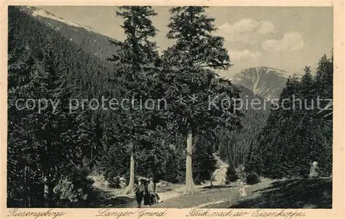 AK / Ansichtskarte Spindlermuehle_Spindleruv_Mlyn Langer Grund Eisenkoppe Spindlermuehle_Spindleruv