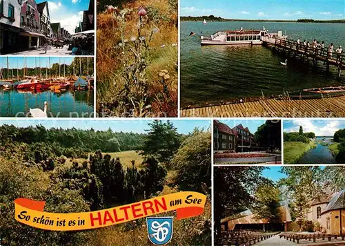 AK / Ansichtskarte Haltern_See Hafen Faehrschiff Stadtansichten Haltern See