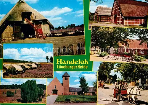 AK / Ansichtskarte Handeloh Schafherde Pferdekutsche  Handeloh