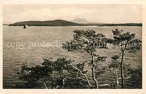 AK / Ansichtskarte Thammuehl_Stare_Splavy  Thammuehl_Stare_Splavy