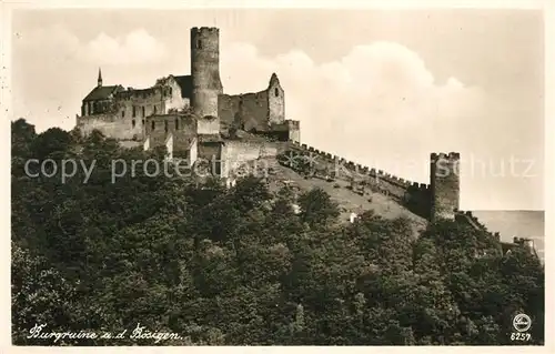 AK / Ansichtskarte Schlossboesig_Tschechien Burgruine Boesig  Schlossboesig Tschechien